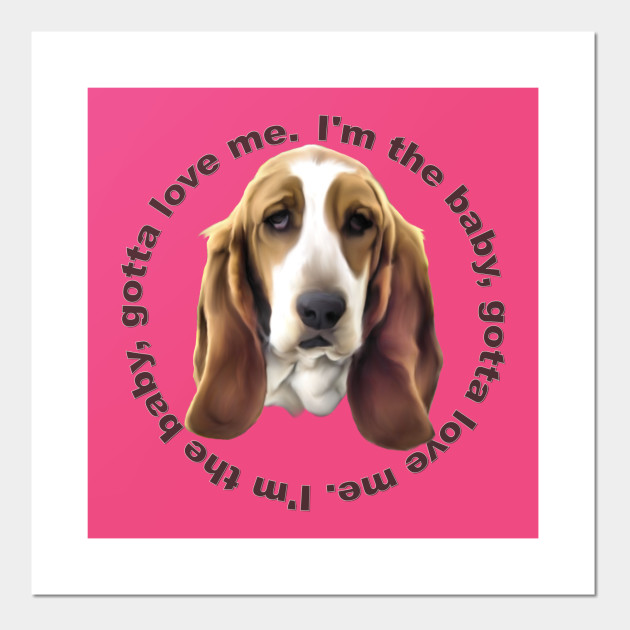 Adorable Basset Hound Dog